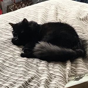 Meet your Posher, Liam